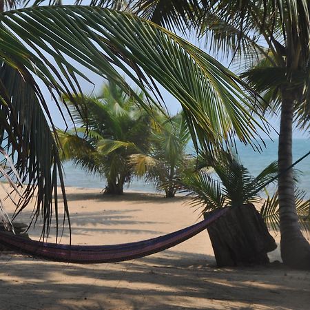 Sabal Beach 호텔 Monkey River Town 외부 사진