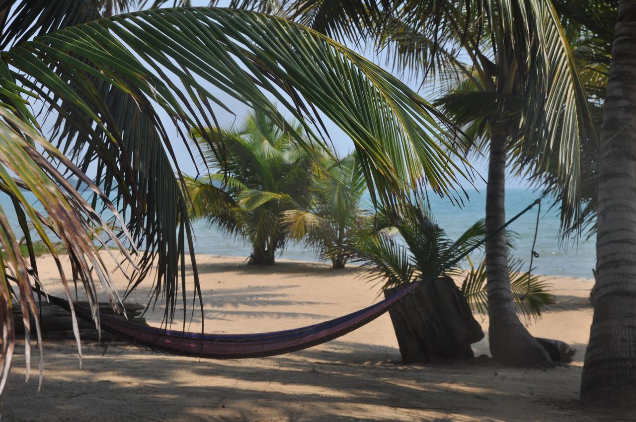 Sabal Beach 호텔 Monkey River Town 외부 사진