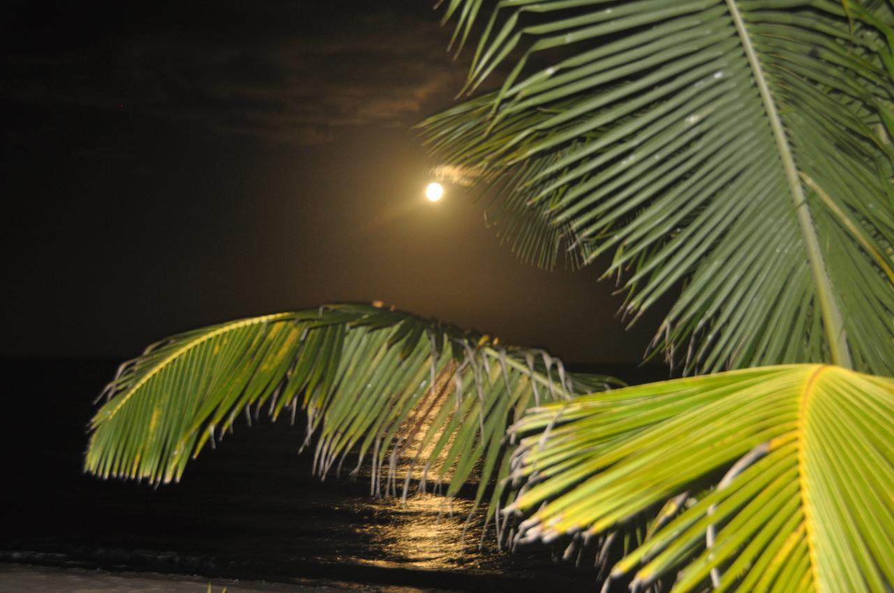 Sabal Beach 호텔 Monkey River Town 외부 사진