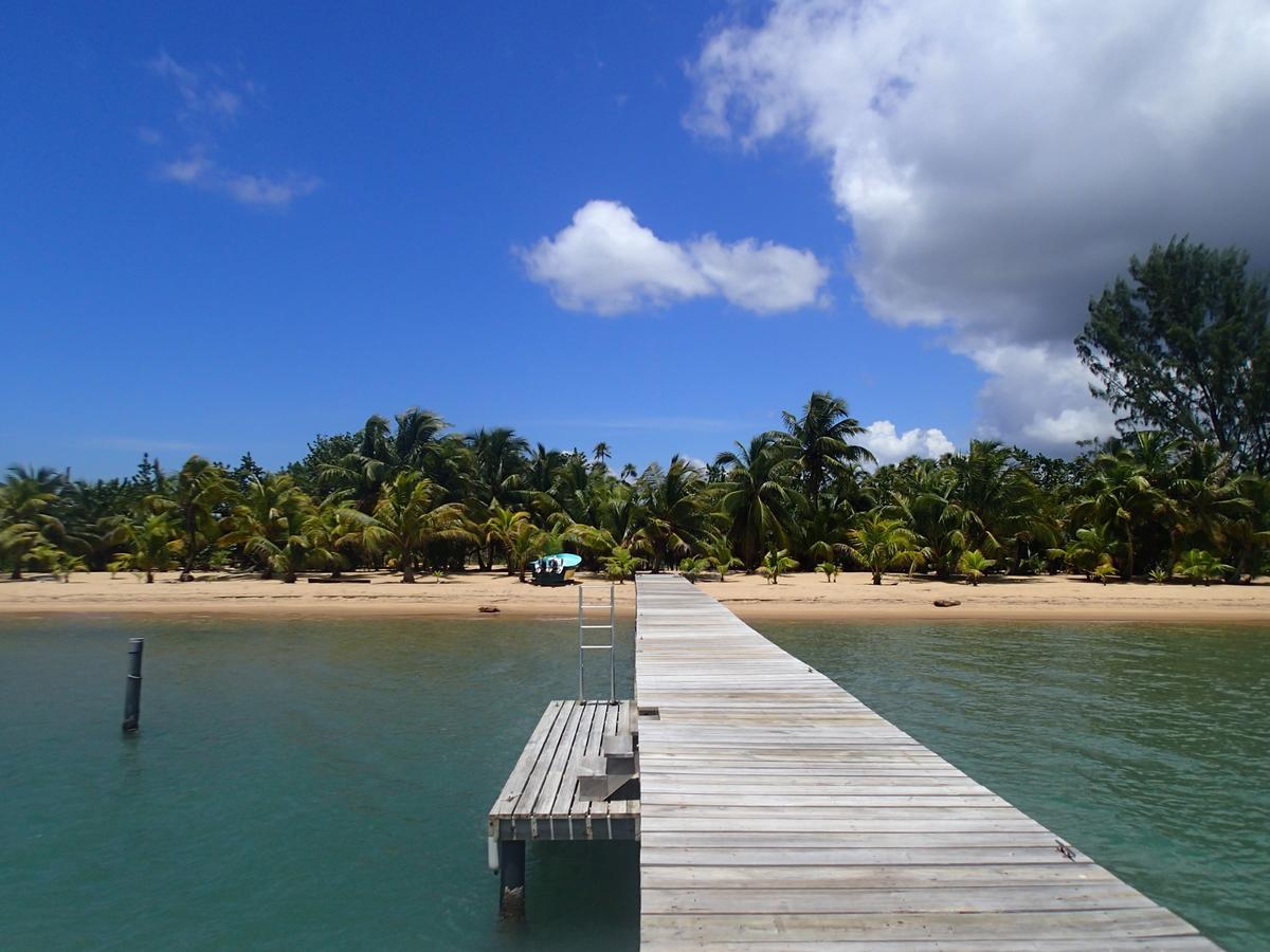 Sabal Beach 호텔 Monkey River Town 외부 사진