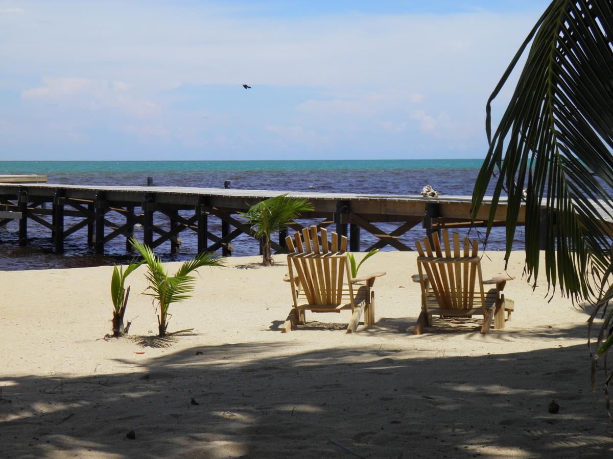 Sabal Beach 호텔 Monkey River Town 외부 사진