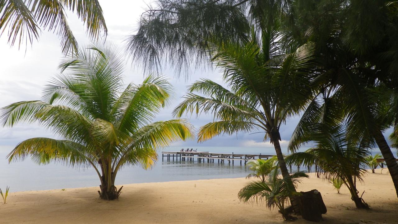 Sabal Beach 호텔 Monkey River Town 외부 사진