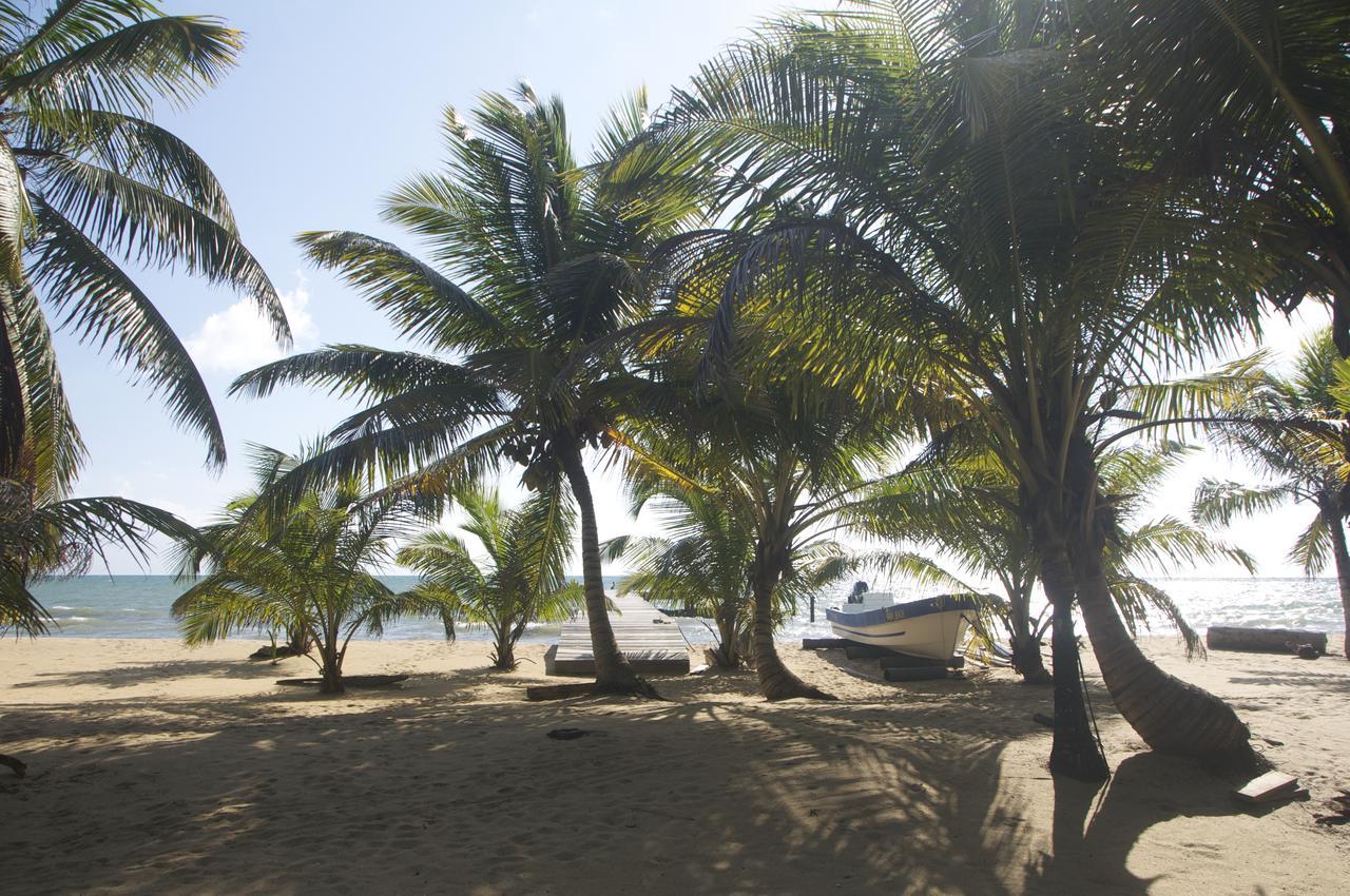 Sabal Beach 호텔 Monkey River Town 외부 사진