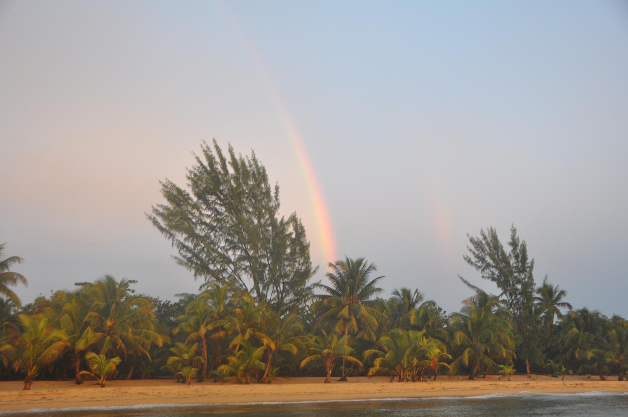 Sabal Beach 호텔 Monkey River Town 외부 사진