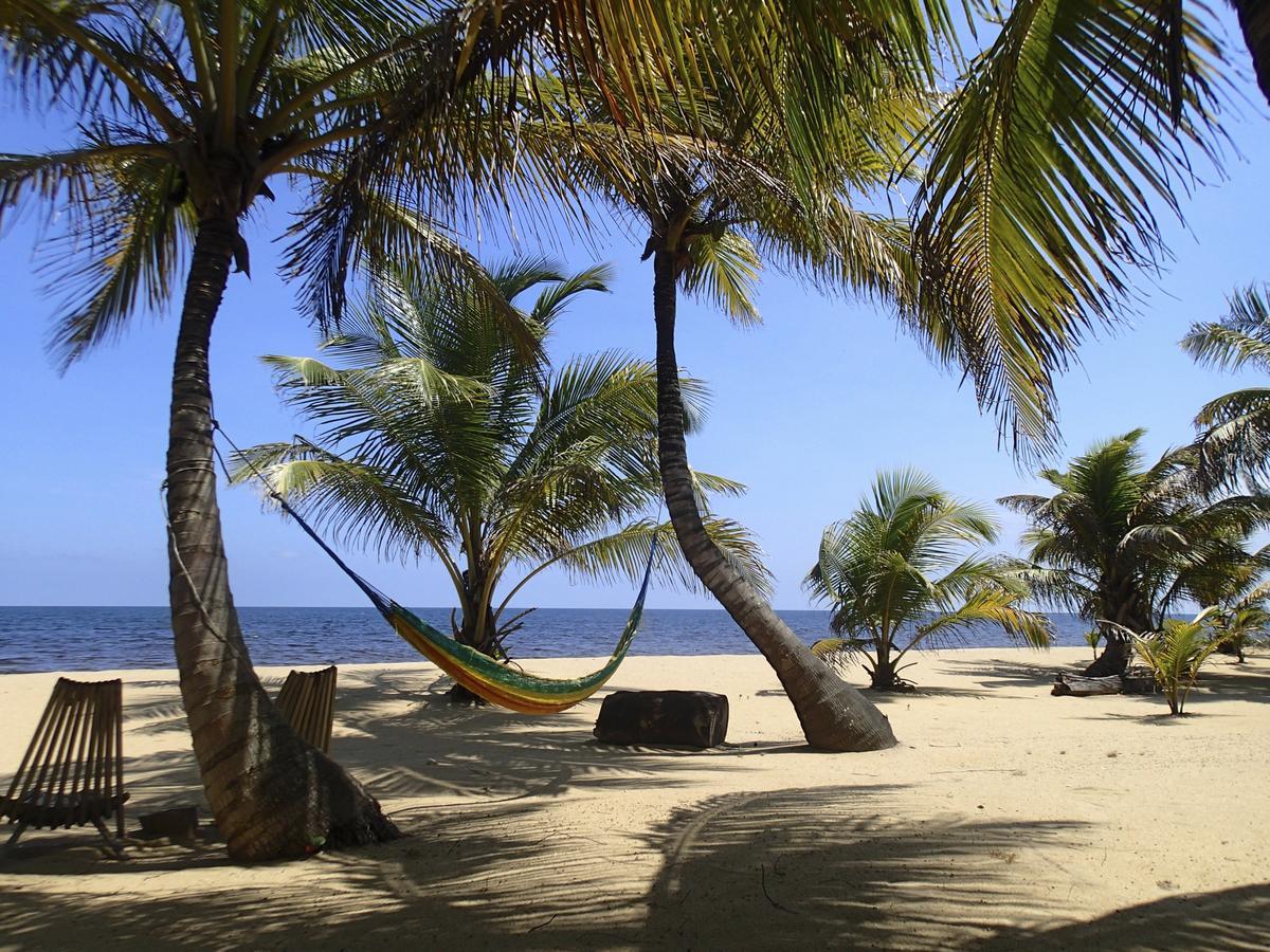 Sabal Beach 호텔 Monkey River Town 외부 사진