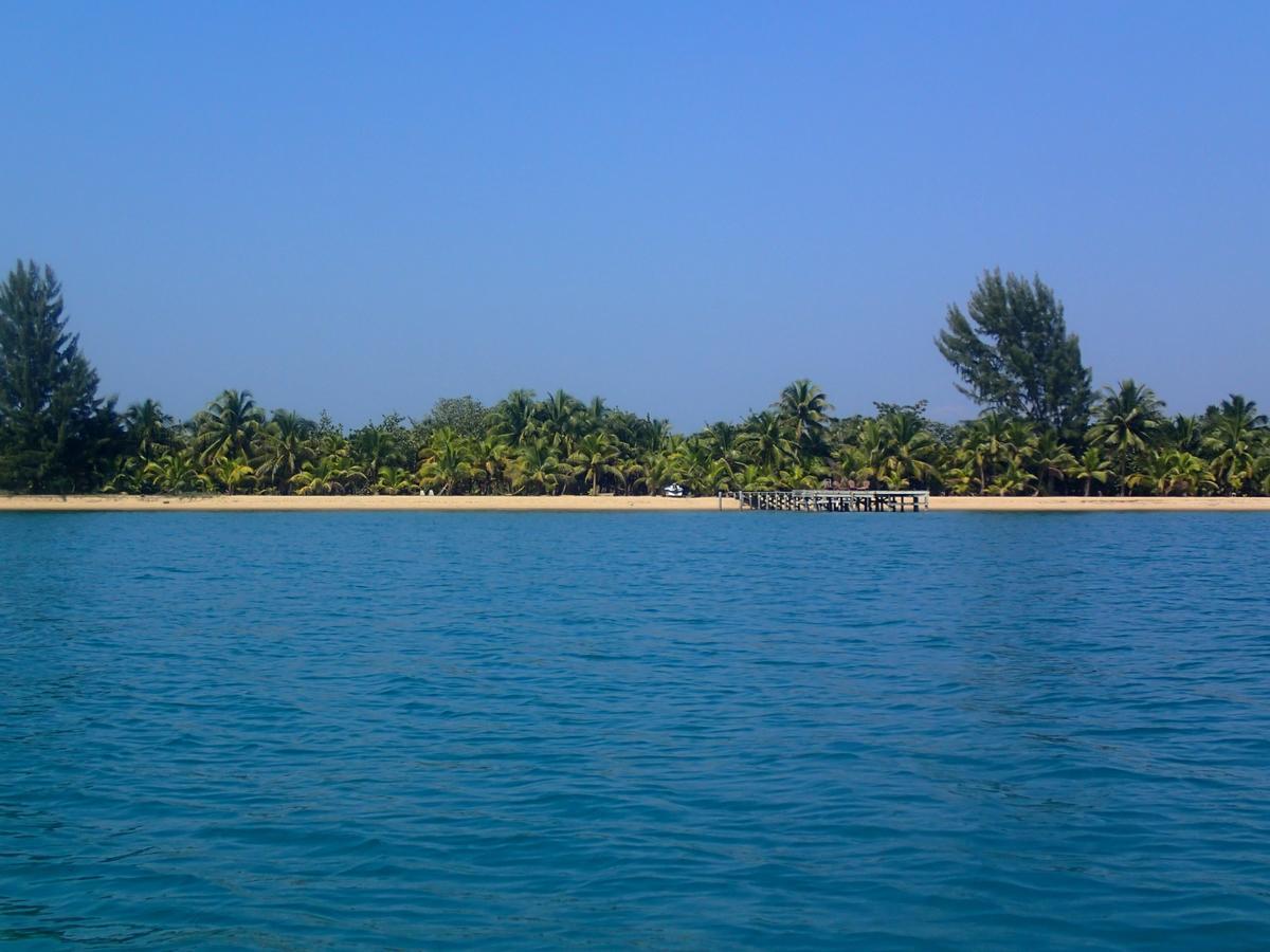 Sabal Beach 호텔 Monkey River Town 외부 사진